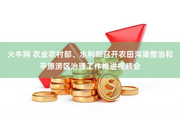 火牛网 农业农村部、水利部召开农田沟渠整治和平原涝区治理工作推进视频会