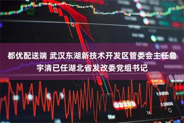都优配送端 武汉东湖新技术开发区管委会主任鲁宇清已任湖北省发改委党组书记