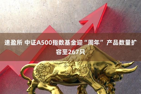 速盈所 中证A500指数基金迎“周年” 产品数量扩容至267只
