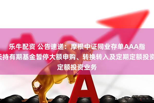 乐牛配资 公告速递：摩根中证同业存单AAA指数7天持有期基金暂停大额申购、转换转入及定期定额投资业务