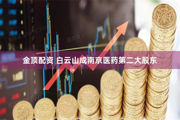 金顶配资 白云山成南京医药第二大股东