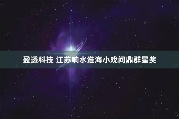 盈透科技 江苏响水淮海小戏问鼎群星奖