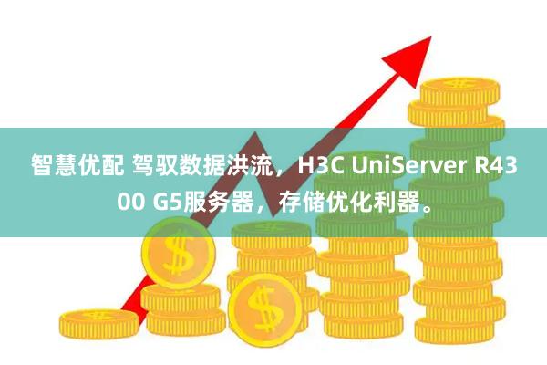 智慧优配 驾驭数据洪流,H3C UniServer R4300 G5服务器,存储优化利器。