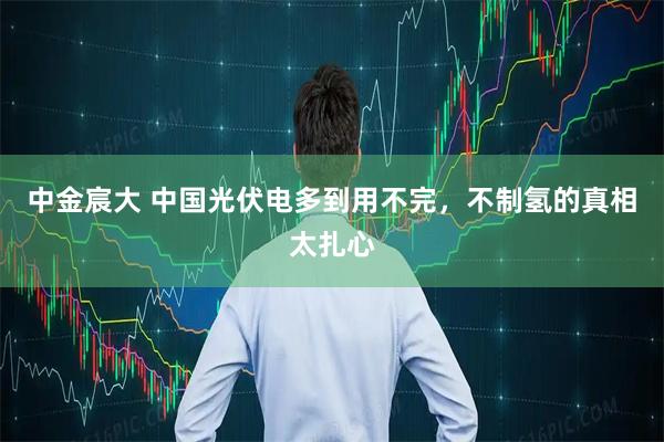 中金宸大 中国光伏电多到用不完，不制氢的真相太扎心